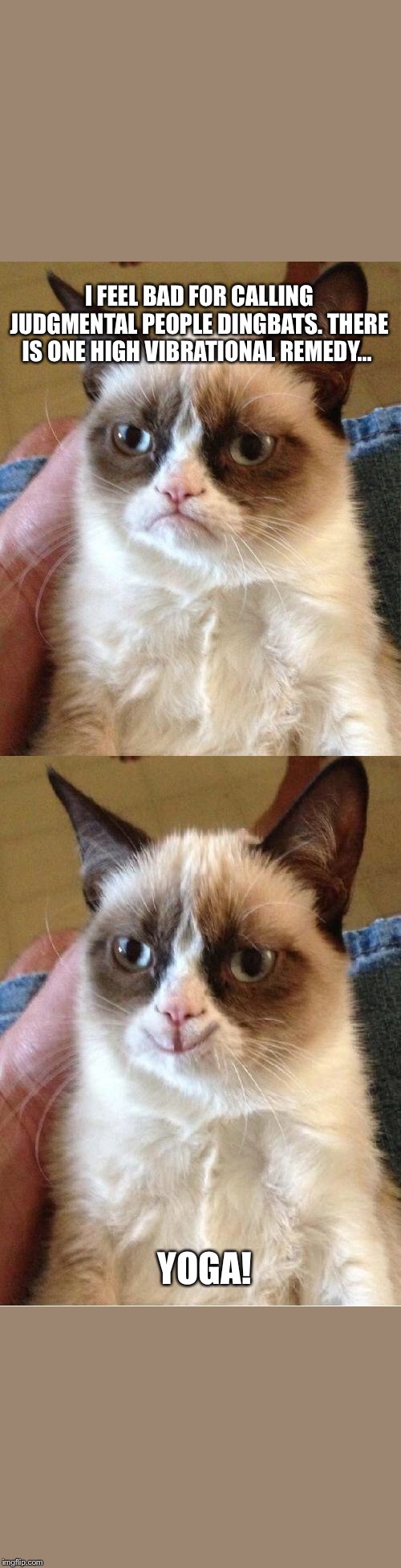 Grumpy Cat 2x Smile | I FEEL BAD FOR CALLING JUDGMENTAL PEOPLE DINGBATS. THERE IS ONE HIGH VIBRATIONAL REMEDY... YOGA! | image tagged in grumpy cat 2x smile | made w/ Imgflip meme maker