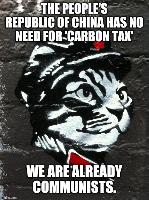 China doesn't need carbon tax, there communists already | THE PEOPLE'S REPUBLIC OF CHINA HAS NO NEED FOR 'CARBON TAX'; WE ARE ALREADY COMMUNISTS. | image tagged in communism,cats,funny cats,carbon footprint,climate change,environment | made w/ Imgflip meme maker