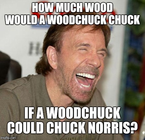 Chuck Norris Laughing Meme | HOW MUCH WOOD WOULD A WOODCHUCK CHUCK; IF A WOODCHUCK COULD CHUCK NORRIS? | image tagged in memes,chuck norris laughing,chuck norris | made w/ Imgflip meme maker