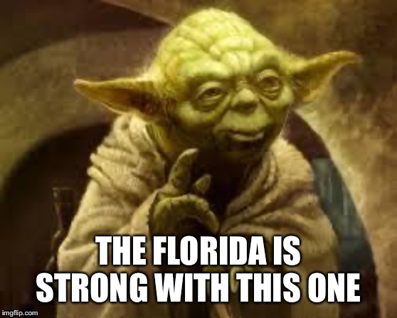 yoda | THE FLORIDA IS STRONG WITH THIS ONE | image tagged in yoda | made w/ Imgflip meme maker
