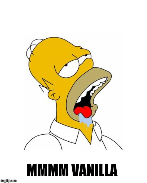 Homer Simpson Drooling | MMMM VANILLA | image tagged in homer simpson drooling | made w/ Imgflip meme maker