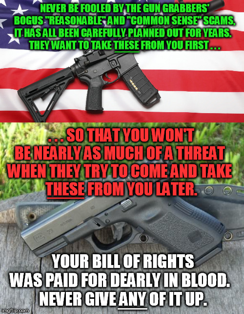Proper respects to those of you keeping the faith in Virginia. True patriots all remember Paine and the ORIGINAL "Common Sense" | NEVER BE FOOLED BY THE GUN GRABBERS' BOGUS "REASONABLE" AND "COMMON SENSE" SCAMS, IT HAS ALL BEEN CAREFULLY PLANNED OUT FOR YEARS.  
THEY WANT TO TAKE THESE FROM YOU FIRST . . . ___; . . . SO THAT YOU WON'T BE NEARLY AS MUCH OF A THREAT 
WHEN THEY TRY TO COME AND TAKE 
THESE FROM YOU LATER. ____; YOUR BILL OF RIGHTS WAS PAID FOR DEARLY IN BLOOD.  
NEVER GIVE ANY OF IT UP. ___ | image tagged in ar-15,pistols,gun control,deceit,virginia,lying politicians | made w/ Imgflip meme maker