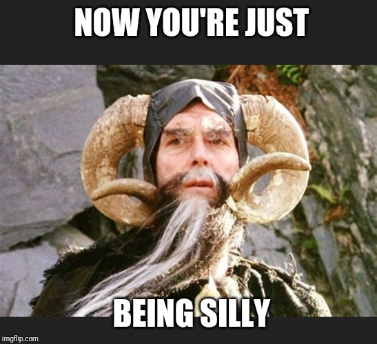 Maybe someday Democrats will wake-up and gain some common sense... | NOW YOU'RE JUST; BEING SILLY | image tagged in monty python and the holy grail | made w/ Imgflip meme maker