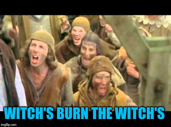 She's a witch! Burn her! Monty Python | WITCH'S BURN THE WITCH'S | image tagged in she's a witch burn her monty python | made w/ Imgflip meme maker