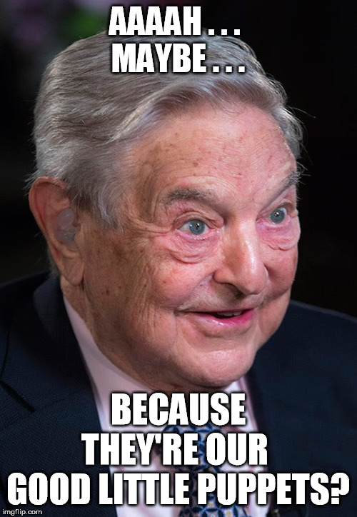 Evil George Soros | AAAAH . . . 
MAYBE . . . BECAUSE THEY'RE OUR 
GOOD LITTLE PUPPETS? | image tagged in evil george soros | made w/ Imgflip meme maker