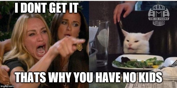 white cat table | I DONT GET IT; THATS WHY YOU HAVE NO KIDS | image tagged in white cat table | made w/ Imgflip meme maker