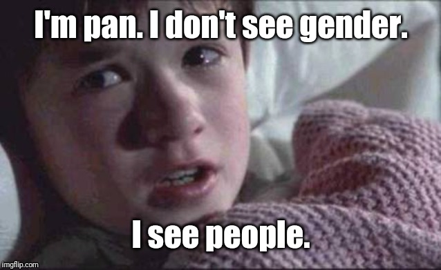 I See People | I'm pan. I don't see gender. I see people. | image tagged in memes,i see dead people | made w/ Imgflip meme maker