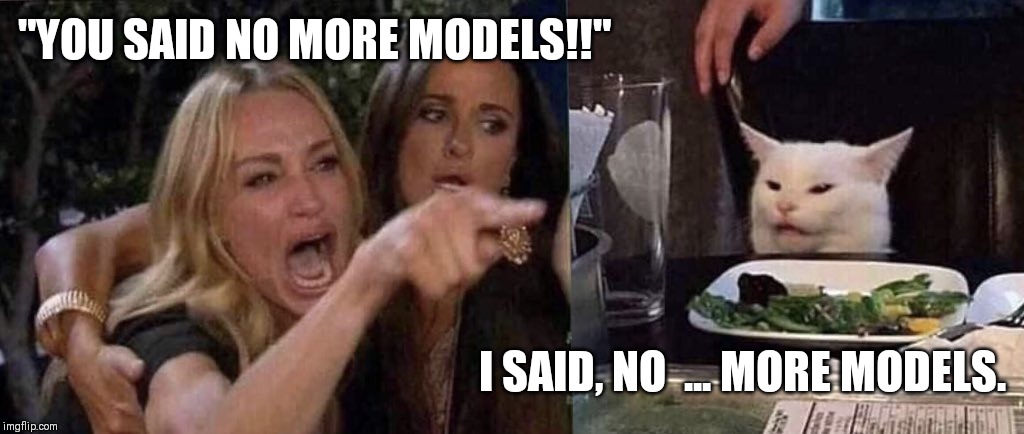 woman yelling at cat | "YOU SAID NO MORE MODELS!!"; I SAID, NO  ... MORE MODELS. | image tagged in woman yelling at cat | made w/ Imgflip meme maker
