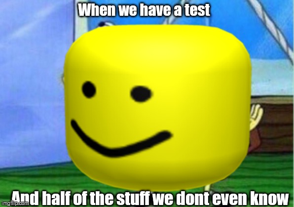 When we have a test; And half of the stuff we dont even know | image tagged in memes | made w/ Imgflip meme maker