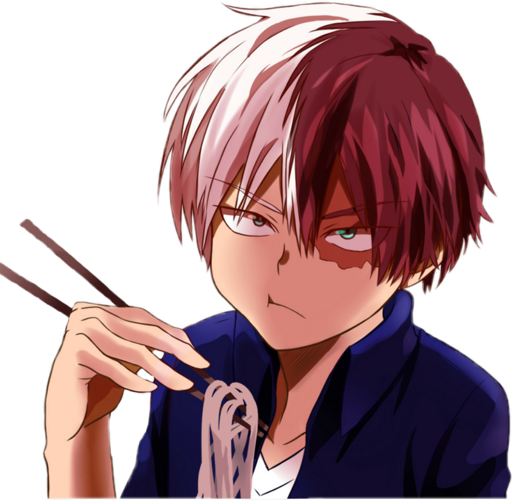 Todoroki Blank Meme Template