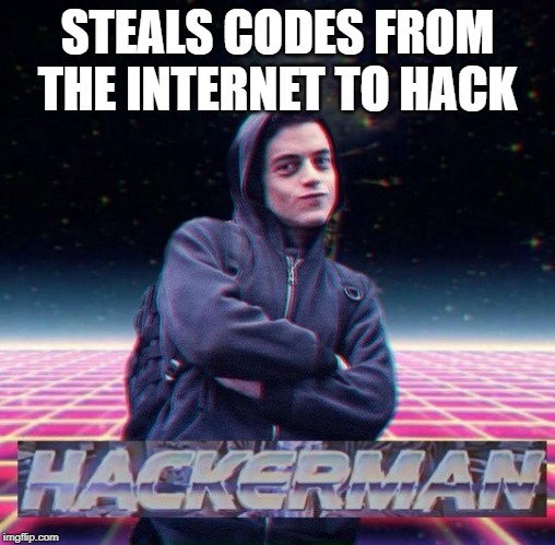 HackerMan | STEALS CODES FROM THE INTERNET TO HACK | image tagged in hackerman | made w/ Imgflip meme maker