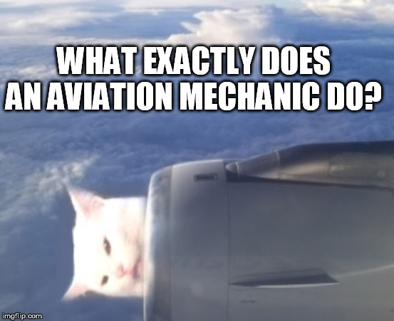 Kool Cat | WHAT EXACTLY DOES AN AVIATION MECHANIC DO? | image tagged in kool cat | made w/ Imgflip meme maker