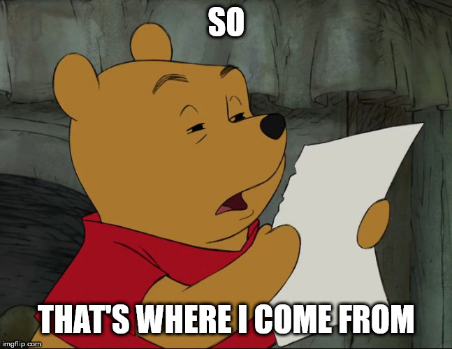 Winnie The Pooh | SO THAT'S WHERE I COME FROM | image tagged in winnie the pooh | made w/ Imgflip meme maker