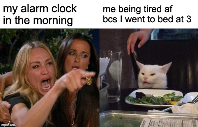 Woman Yelling At Cat Meme | my alarm clock in the morning; me being tired af bcs I went to bed at 3 | image tagged in memes,woman yelling at cat | made w/ Imgflip meme maker