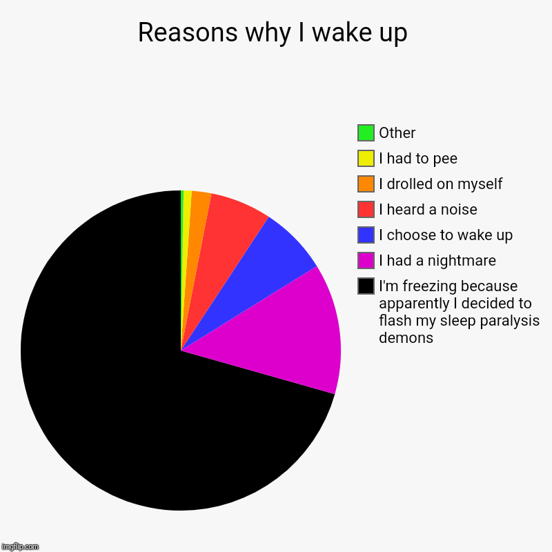 Reasons why I wake up | I'm freezing because apparently I decided to flash my sleep paralysis demons, I had a nightmare, I choose to wake up | image tagged in charts,pie charts | made w/ Imgflip chart maker