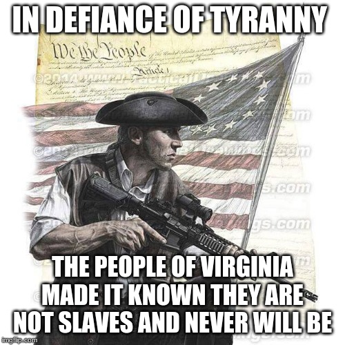 Well done Patriots | IN DEFIANCE OF TYRANNY; THE PEOPLE OF VIRGINIA MADE IT KNOWN THEY ARE NOT SLAVES AND NEVER WILL BE | image tagged in american patriot,virginia remains free,oath keepers,2nd amendment,carry everyday,this we will defend | made w/ Imgflip meme maker