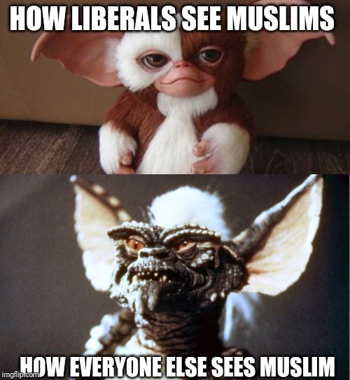 When You Think You're Getting Gizmo But There Stripe In Disguise | HOW LIBERALS SEE MUSLIMS; HOW EVERYONE ELSE SEES MUSLIM | image tagged in when you think you're getting gizmo but there stripe in disguise | made w/ Imgflip meme maker