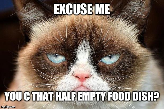 Grumpy Cat Not Amused | EXCUSE ME; YOU C THAT HALF EMPTY FOOD DISH? | image tagged in memes,grumpy cat not amused,grumpy cat | made w/ Imgflip meme maker