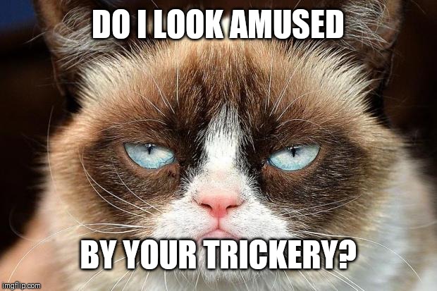 Grumpy Cat Not Amused Meme | DO I LOOK AMUSED; BY YOUR TRICKERY? | image tagged in memes,grumpy cat not amused,grumpy cat | made w/ Imgflip meme maker