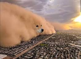 High Quality dog sandstorm Blank Meme Template