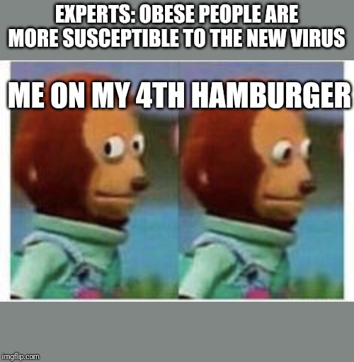 side eye teddy | EXPERTS: OBESE PEOPLE ARE MORE SUSCEPTIBLE TO THE NEW VIRUS; ME ON MY 4TH HAMBURGER | image tagged in side eye teddy | made w/ Imgflip meme maker