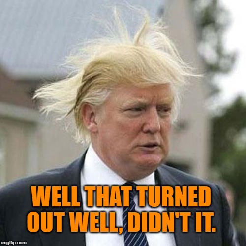 Donald Trump | WELL THAT TURNED OUT WELL, DIDN'T IT. | image tagged in donald trump | made w/ Imgflip meme maker