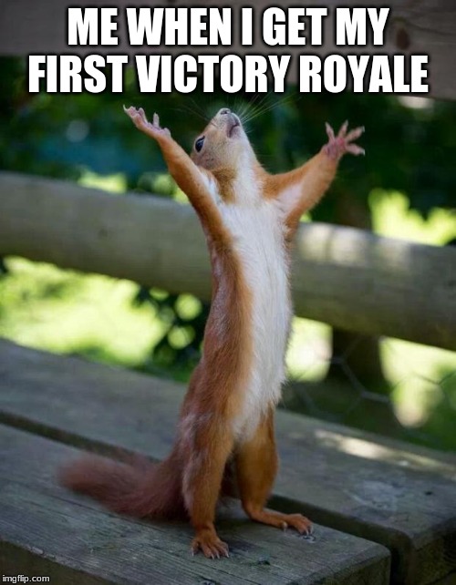 Happy Squirrel | ME WHEN I GET MY FIRST VICTORY ROYALE | image tagged in happy squirrel | made w/ Imgflip meme maker
