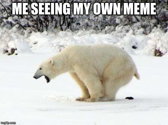 Polar Bear Shits in the Snow | ME SEEING MY OWN MEME | image tagged in polar bear shits in the snow | made w/ Imgflip meme maker