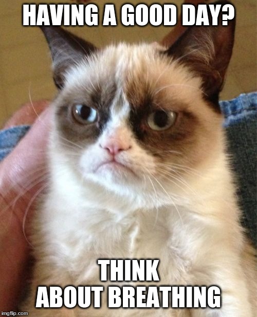 Grumpy Cat Meme | HAVING A GOOD DAY? THINK ABOUT BREATHING | image tagged in memes,grumpy cat | made w/ Imgflip meme maker