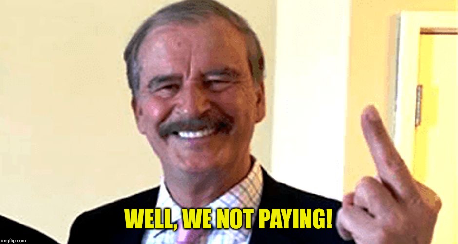 Vincente Fox | WELL, WE NOT PAYING! | image tagged in vincente fox | made w/ Imgflip meme maker