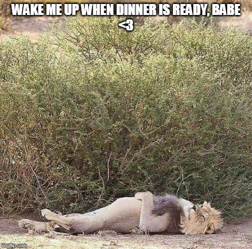 After Sex | WAKE ME UP WHEN DINNER IS READY, BABE
<3 | image tagged in sex,sleep | made w/ Imgflip meme maker