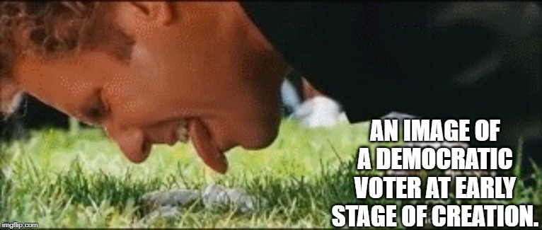 Democrat being born | AN IMAGE OF A DEMOCRATIC VOTER AT EARLY STAGE OF CREATION. | image tagged in democrat | made w/ Imgflip meme maker