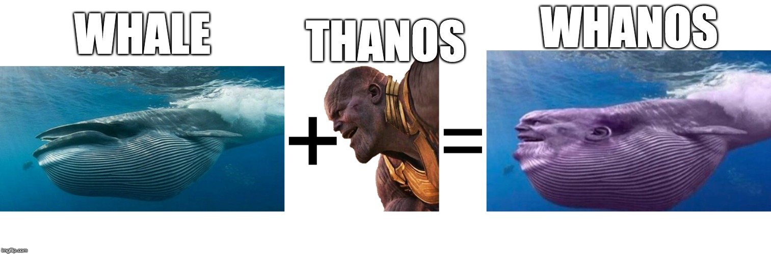 Up√0†¡πg ge†5 ¥0u p0¡π†5! | WHANOS; THANOS; WHALE | image tagged in whale,thanos,funny,memes,photoshop | made w/ Imgflip meme maker