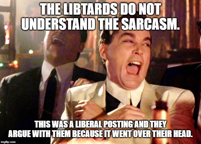 Good Fellas Hilarious Meme | THE LIBTARDS DO NOT UNDERSTAND THE SARCASM. THIS WAS A LIBERAL POSTING AND THEY ARGUE WITH THEM BECAUSE IT WENT OVER THEIR HEAD. | image tagged in memes,good fellas hilarious | made w/ Imgflip meme maker
