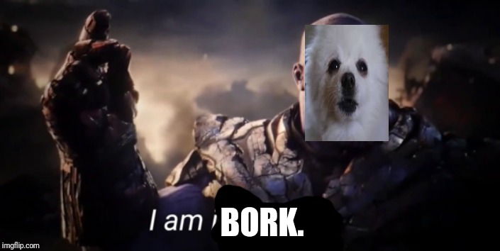 I am BORK | BORK. | image tagged in i am inevitable,gabe the dog,rip,thanos,thanos snap,dogs | made w/ Imgflip meme maker