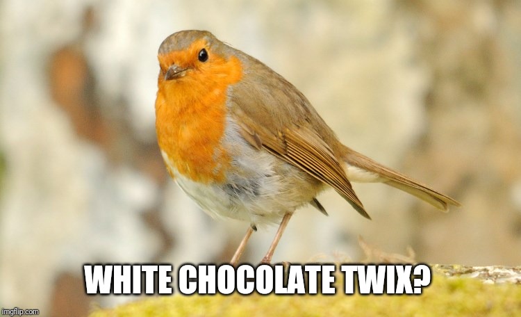 U wot m8 Robin | WHITE CHOCOLATE TWIX? | image tagged in u wot m8 robin | made w/ Imgflip meme maker
