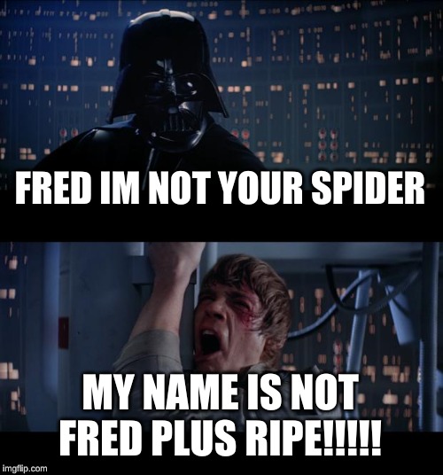 Star Wars No | FRED IM NOT YOUR SPIDER; MY NAME IS NOT FRED PLUS RIPE!!!!! | image tagged in memes,star wars no | made w/ Imgflip meme maker