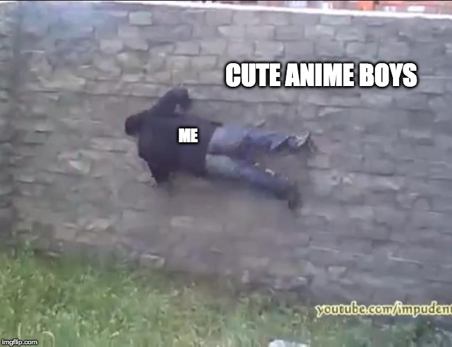 CUTE ANIME BOYS; ME | made w/ Imgflip meme maker