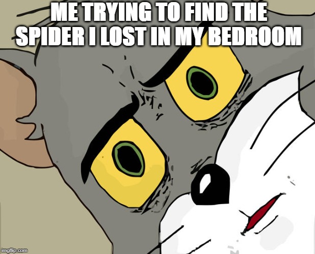 Unsettled Tom | ME TRYING TO FIND THE SPIDER I LOST IN MY BEDROOM | image tagged in memes,unsettled tom | made w/ Imgflip meme maker