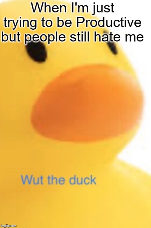 Wut the duck | When I'm just trying to be Productive but people still hate me | image tagged in wut the duck,productivity,hate | made w/ Imgflip meme maker