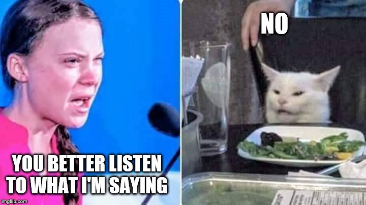 Does anybody take this seriously? | NO; YOU BETTER LISTEN TO WHAT I'M SAYING | image tagged in greta  cat,climate change is a joke,ecofascist greta thunberg,spoiled brat | made w/ Imgflip meme maker