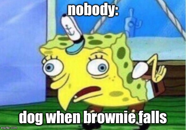 Mocking Spongebob | nobody:; dog when brownie falls | image tagged in memes,mocking spongebob | made w/ Imgflip meme maker