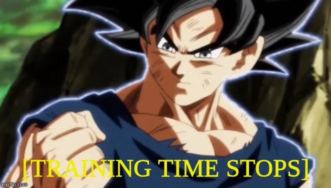 Ultra instinct goku | [TRAINING TIME STOPS] | image tagged in ultra instinct goku | made w/ Imgflip meme maker