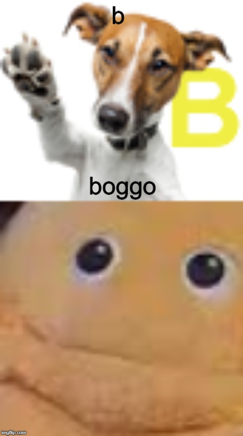 boggo | b; boggo | image tagged in doge,dank memes | made w/ Imgflip meme maker