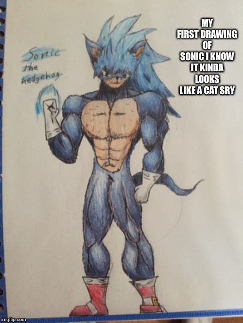 Open to constructive criticism and art tips | MY FIRST DRAWING OF SONIC I KNOW IT KINDA LOOKS LIKE A CAT SRY | image tagged in sonic the hedgehog,drawing,art | made w/ Imgflip meme maker