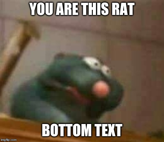 hhhh | YOU ARE THIS RAT; BOTTOM TEXT | image tagged in bruh | made w/ Imgflip meme maker