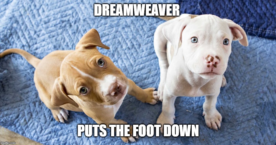 DREAMWEAVER; PUTS THE FOOT DOWN | made w/ Imgflip meme maker