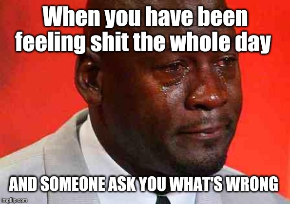crying michael jordan | When you have been feeling shit the whole day; AND SOMEONE ASK YOU WHAT'S WRONG | image tagged in crying michael jordan | made w/ Imgflip meme maker