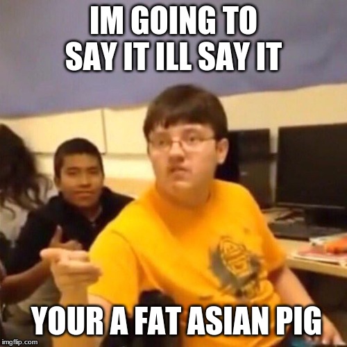 IM GOING TO SAY IT ILL SAY IT; YOUR A FAT ASIAN PIG | image tagged in vine | made w/ Imgflip meme maker