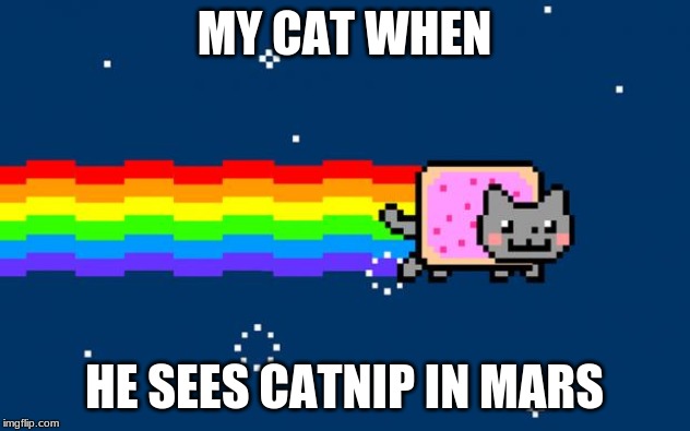 Nyan Cat | MY CAT WHEN; HE SEES CATNIP IN MARS | image tagged in nyan cat | made w/ Imgflip meme maker